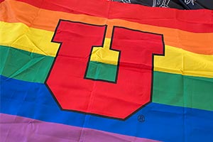 LGBT U Flag